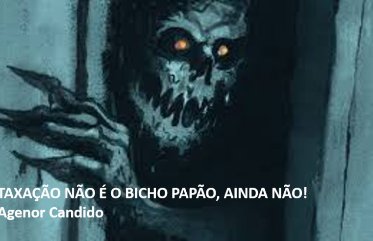 A TAXAÇÃO NÃO É O BICHO PAPÃO, AINDA NÃO!
