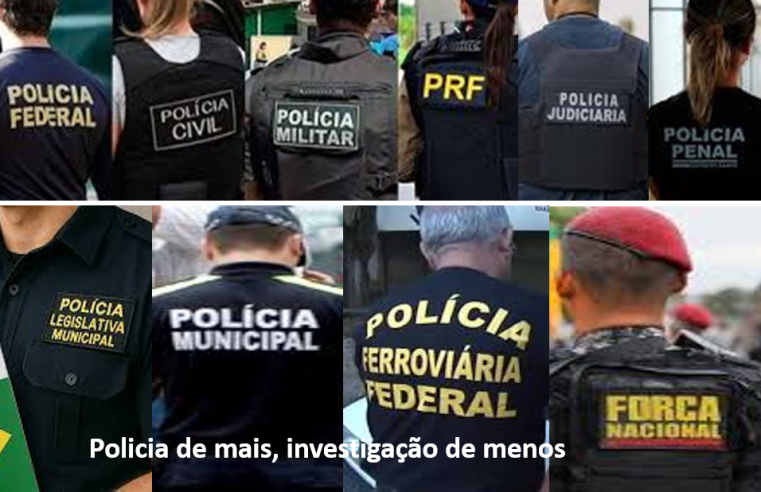 SEGURANÇA PÚBLICA