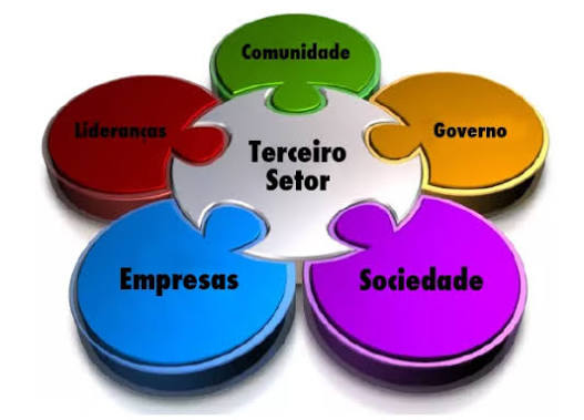 3º Setor